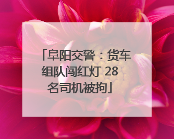 阜阳交警：货车组队闯红灯 28名司机被拘